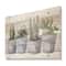 Designart - Cactus and Succulent House Plants V - Botanical Print on Natural Pine Wood